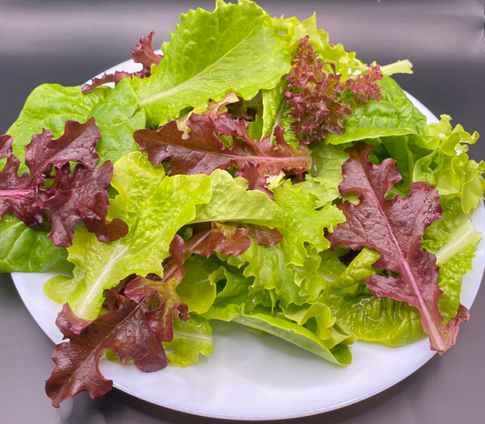 Italian Mixed Salads 80g (washed)